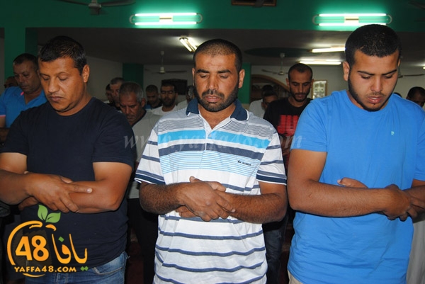 trawe7 zatona (14).JPG